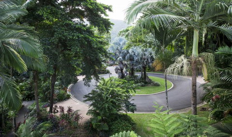 Oasis At Palm Cove - Accommodation Sydney 7