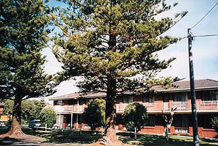 Eastern Beach Holiday Units - Accommodation Sydney 0