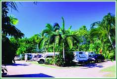 Wongaling Beach QLD Sydney 4u