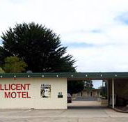 Millicent Motel - Sydney 4u