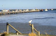 Seaview Motel And Holiday Units - Accommodation Sydney 0