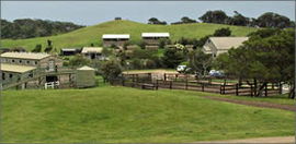 Ace Hi Riding Ranch - Sydney 4u 0