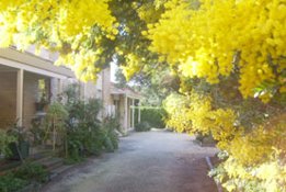 Surfcoast Retreat - Accommodation Sydney 0