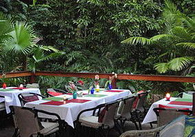 Daintree Rainforest Retreat Motel - Sydney 4u 1