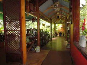 Daintree Rainforest Retreat Motel - Sydney 4u 2