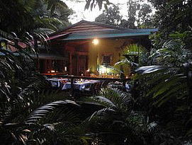 Daintree Rainforest Retreat Motel - Sydney 4u 4