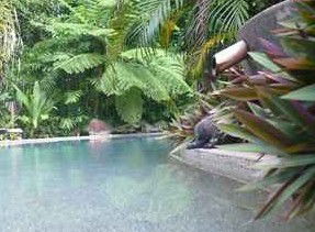 Daintree Rainforest Retreat Motel - Sydney 4u 5