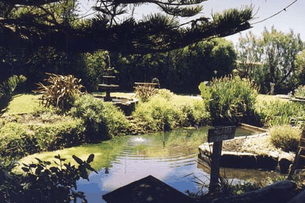 Bayside Gardens - Sydney 4u