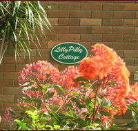 Lillypilly - Accommodation Sydney