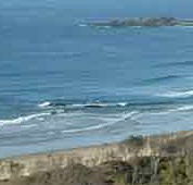 Beach Haven Apartments - Sydney 4u