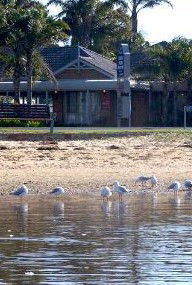 Best Western Coastal Waters Motor Inn - Sydney 4u 2