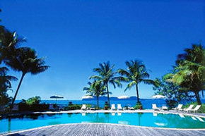 Midgeree Bar QLD Sydney 4u