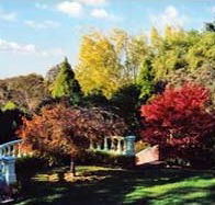Edgelinks Bed And Breakfast - Sydney 4u