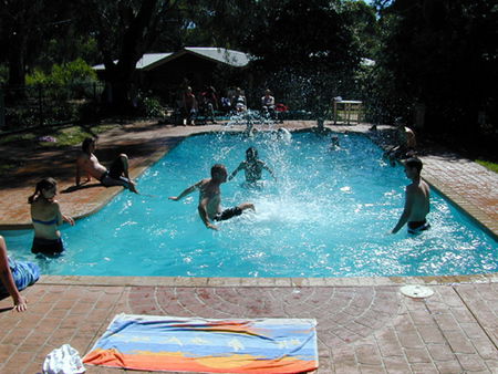 Koala Park Resort - Accommodation Sydney 1