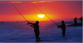 Lakes Jakaranda Holiday Units - Accommodation Sydney 0