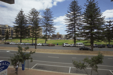 Buffalo Motor Inn - Accommodation Sydney 3