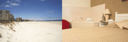 Buffalo Motor Inn - Accommodation Sydney 4