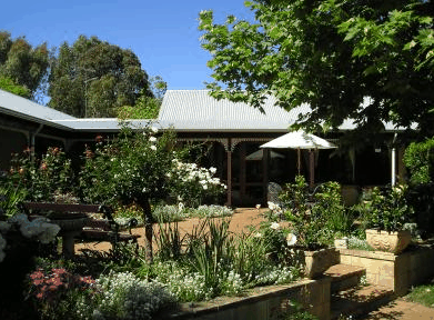 The Noble Grape - Sydney 4u