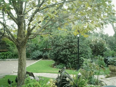 The Noble Grape - Accommodation Sydney 1