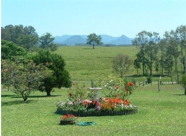 Tallowood Ridge Farmstay B - Accommodation Sydney 3