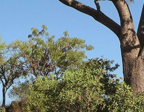 Lakeview Apartments Kununurra - Sydney 4u 3