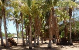 King Sound Resort Hotel - Sydney 4u