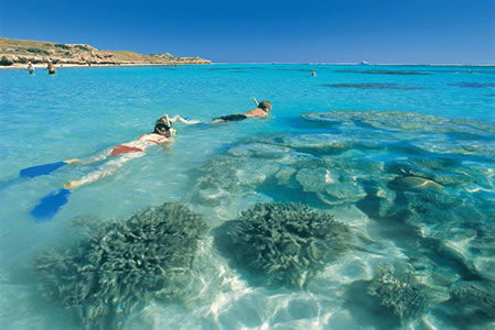 Bernier Island WA Sydney 4u