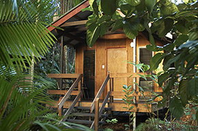 Cape Tribulation QLD Accommodation Sydney