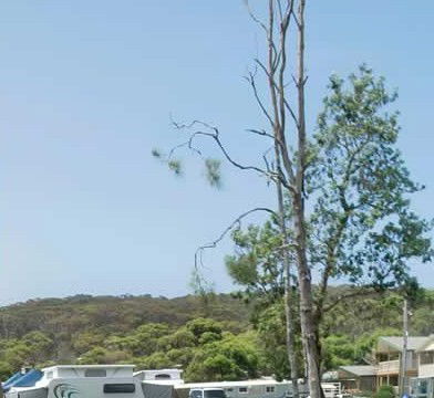 Merry Beach Caravan Park - Sydney 4u 2