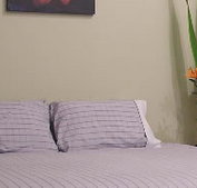 Stingo Hotel - Accommodation Sydney