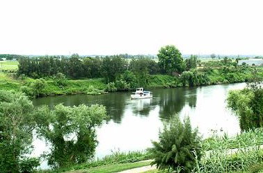 Windsor Terrace Motel - Accommodation Sydney 1