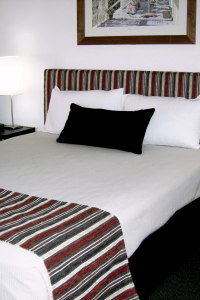Cattle City Motor Inn - Accommodation Sydney 1