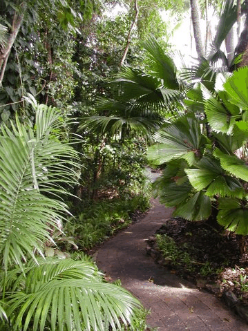Rainforest Grove Holiday Resort - Accommodation Sydney 1