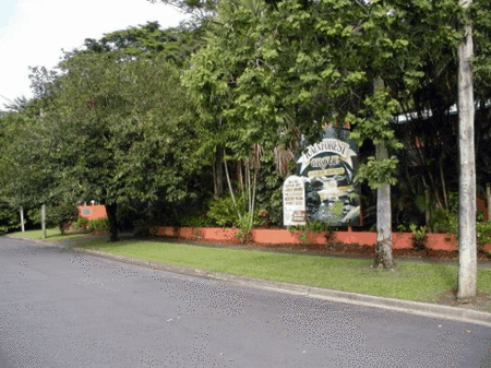 Rainforest Grove Holiday Resort - Accommodation Sydney 2