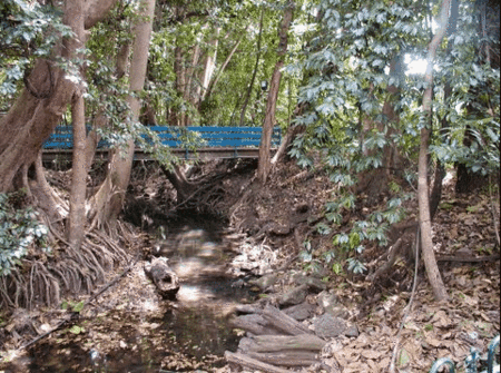 Rainforest Grove Holiday Resort - Accommodation Sydney 3