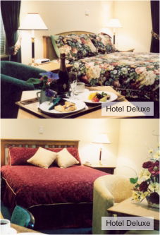 Loxton Community Hotel Motel - Accommodation Sydney 0