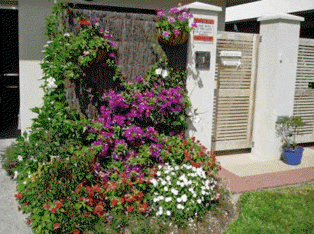 Lahania By The Sea - Accommodation Sydney 3