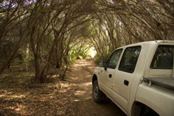 Nampara Cabins - Accommodation Sydney 1