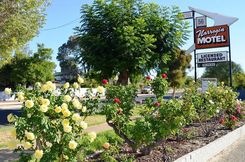 Narrogin Motel - Accommodation Sydney 0