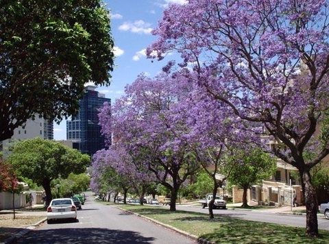 Mountway Holiday Apartments - Accommodation Sydney 3