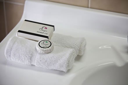 Cumberland Motor Inn - Sydney 4u 7