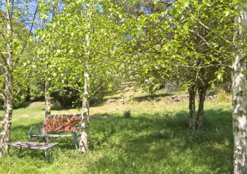 Tomah Mountain Lodge - Accommodation Sydney 2