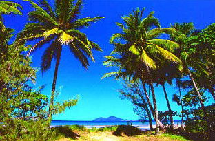 Mission Beach Rainforest Motel - Sydney 4u 1