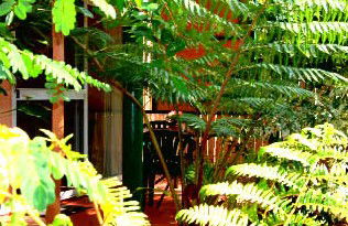 Mission Beach Rainforest Motel - Sydney 4u 3