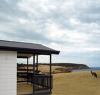 Waves and Wildlife