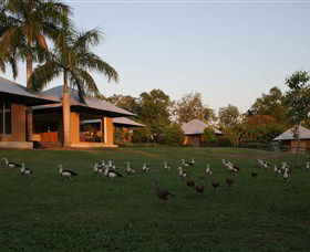 Feathers Sanctuary - Accommodation Sydney 0