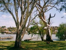 Shack 31 Bolto Reserve - Accommodation Sydney 0