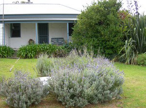 Ruby's Robe Cottage - Accommodation Sydney 5