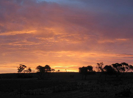 Willangi Bush Escapes - Accommodation Sydney 1