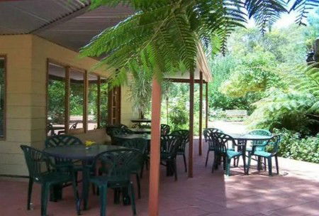 Rainforest Retreat - Accommodation Sydney 1